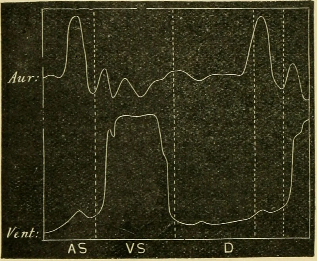 An illustration from A manual of physiology : with practical exercises / by G. N. Stewart ; with coloured plate and 467 other illustrations., 1914, leaf 116