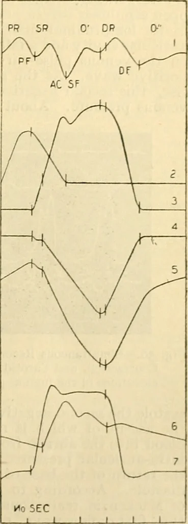 An illustration from A manual of physiology : with practical exercises / by G. N. Stewart ; with coloured plate and 467 other illustrations., 1914, leaf 123