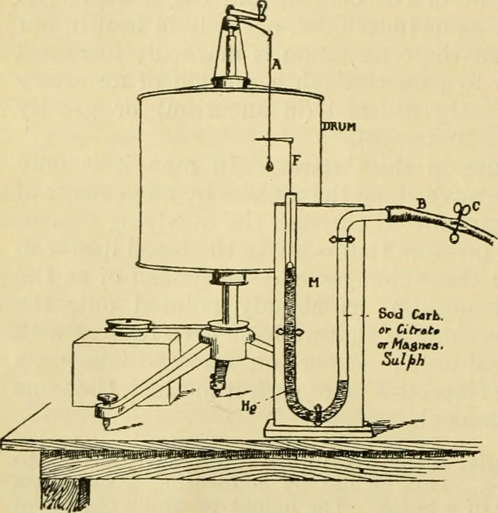 An illustration from A manual of physiology : with practical exercises / by G. N. Stewart ; with coloured plate and 467 other illustrations., 1914, leaf 134