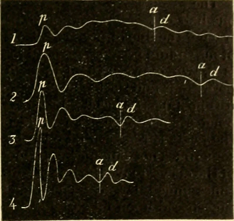An illustration from A manual of physiology : with practical exercises / by G. N. Stewart ; with coloured plate and 467 other illustrations., 1914, leaf 135