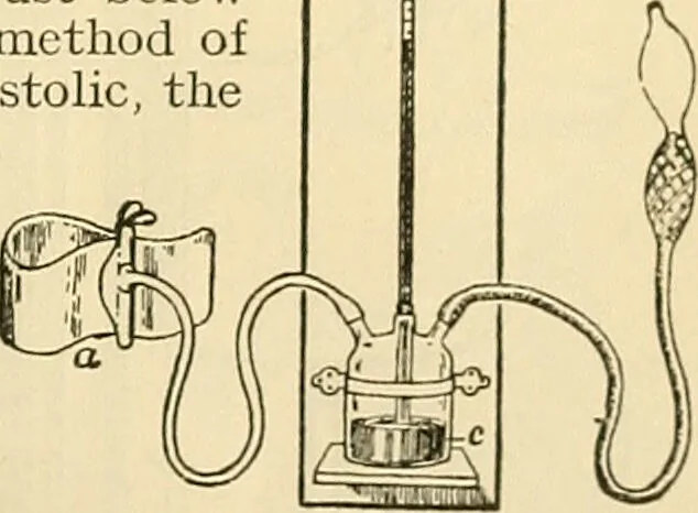 An illustration from A manual of physiology : with practical exercises / by G. N. Stewart ; with coloured plate and 467 other illustrations., 1914, leaf 137
