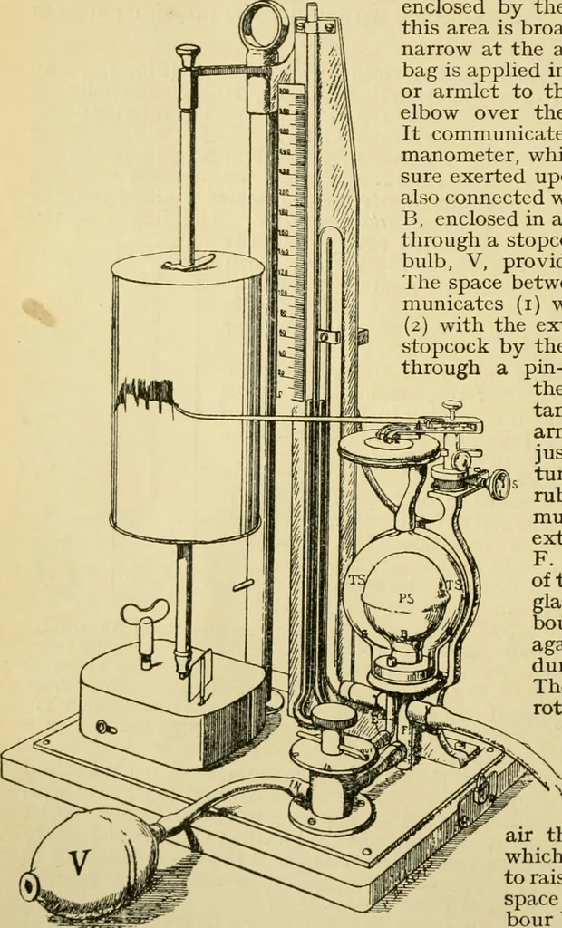 An illustration from A manual of physiology : with practical exercises / by G. N. Stewart ; with coloured plate and 467 other illustrations., 1914, leaf 138