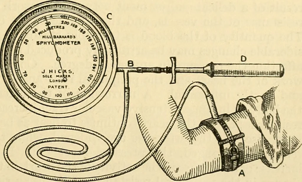 An illustration from A manual of physiology : with practical exercises / by G. N. Stewart ; with coloured plate and 467 other illustrations., 1914, leaf 139