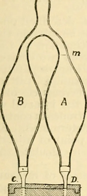 An illustration from A manual of physiology : with practical exercises / by G. N. Stewart ; with coloured plate and 467 other illustrations., 1914, leaf 145