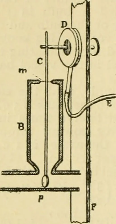 An illustration from A manual of physiology : with practical exercises / by G. N. Stewart ; with coloured plate and 467 other illustrations., 1914, leaf 146