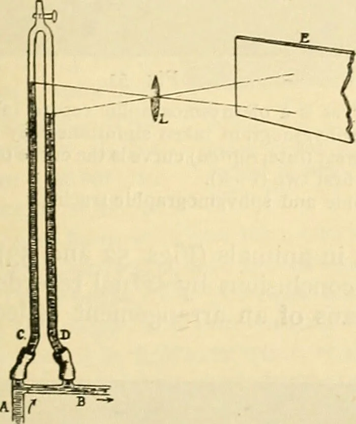 An illustration from A manual of physiology : with practical exercises / by G. N. Stewart ; with coloured plate and 467 other illustrations., 1914, leaf 147