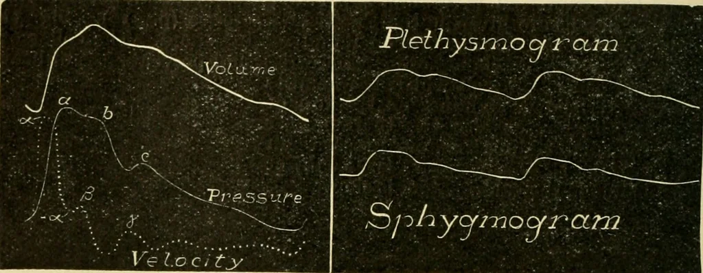 An illustration from A manual of physiology : with practical exercises / by G. N. Stewart ; with coloured plate and 467 other illustrations., 1914, leaf 148