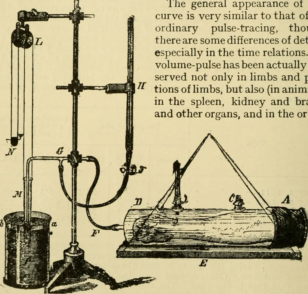 An illustration from A manual of physiology : with practical exercises / by G. N. Stewart ; with coloured plate and 467 other illustrations., 1914, leaf 152