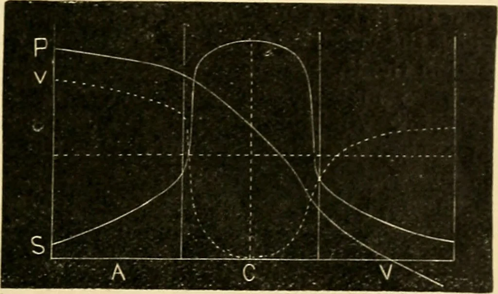 An illustration from A manual of physiology : with practical exercises / by G. N. Stewart ; with coloured plate and 467 other illustrations., 1914, leaf 155