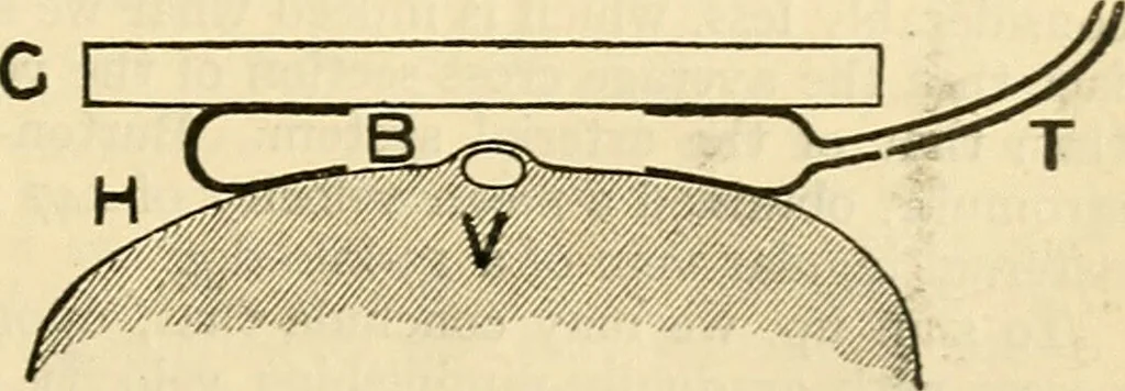 An illustration from A manual of physiology : with practical exercises / by G. N. Stewart ; with coloured plate and 467 other illustrations., 1914, leaf 157