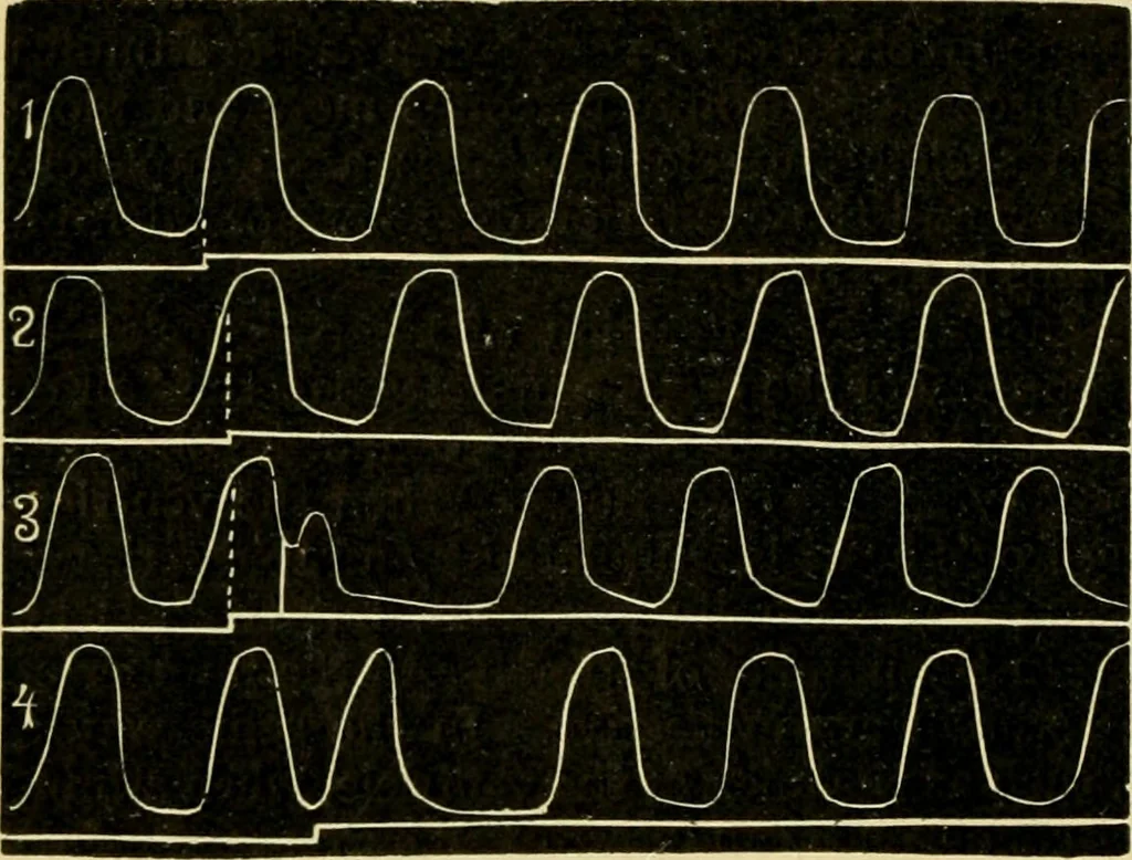 An illustration from A manual of physiology : with practical exercises / by G. N. Stewart ; with coloured plate and 467 other illustrations., 1914, leaf 180
