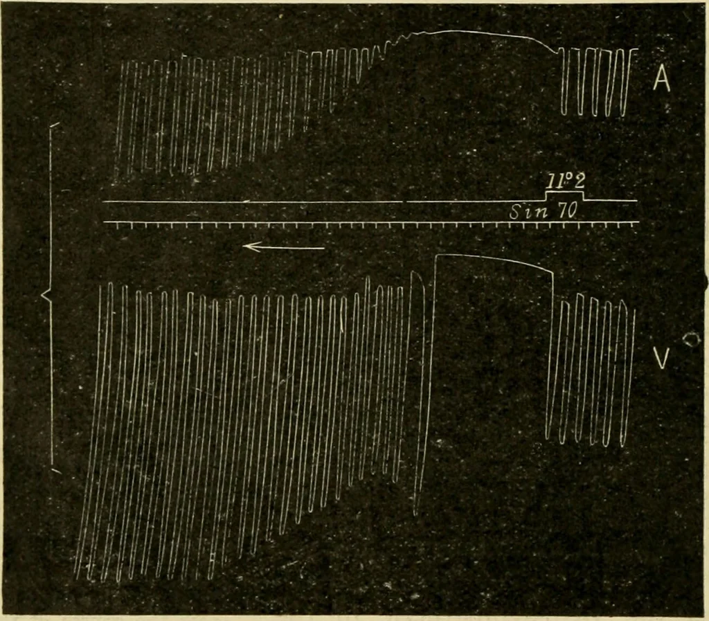 An illustration from A manual of physiology : with practical exercises / by G. N. Stewart ; with coloured plate and 467 other illustrations., 1914, leaf 182
