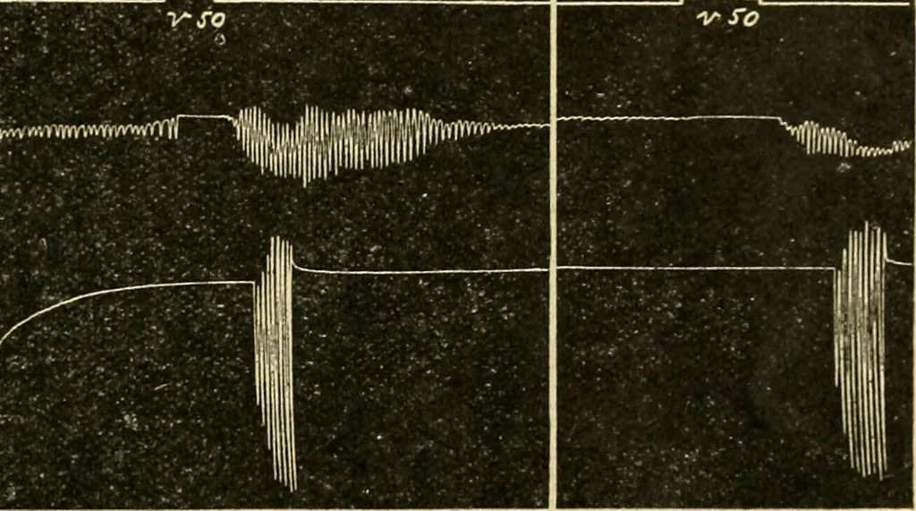 An illustration from A manual of physiology : with practical exercises / by G. N. Stewart ; with coloured plate and 467 other illustrations., 1914, leaf 183