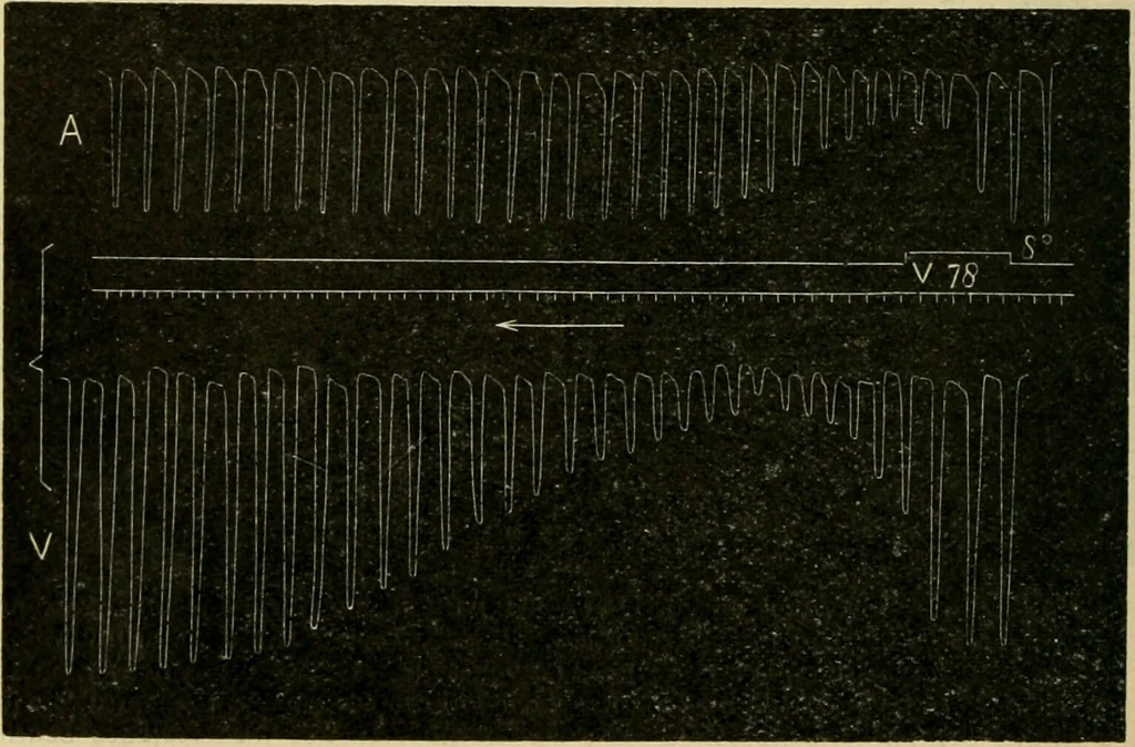 An illustration from A manual of physiology : with practical exercises / by G. N. Stewart ; with coloured plate and 467 other illustrations., 1914, leaf 184