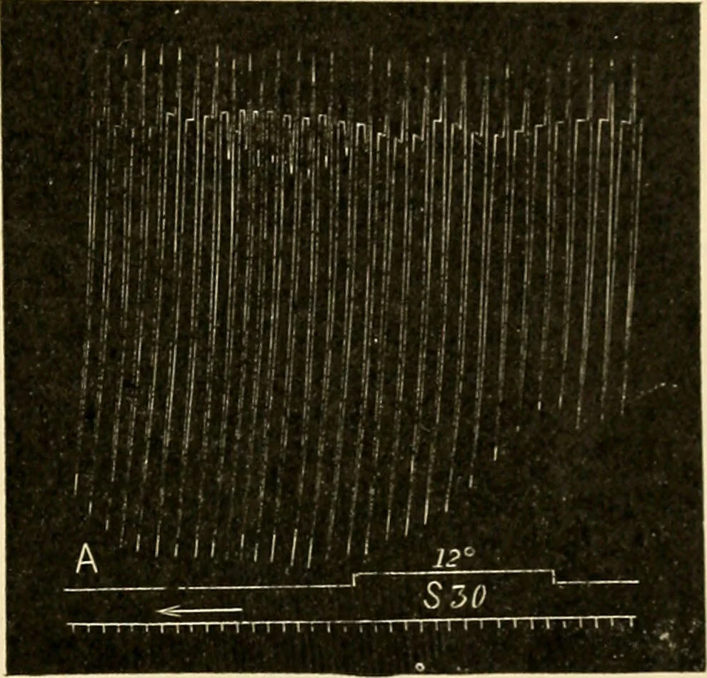 An illustration from A manual of physiology : with practical exercises / by G. N. Stewart ; with coloured plate and 467 other illustrations., 1914, leaf 189