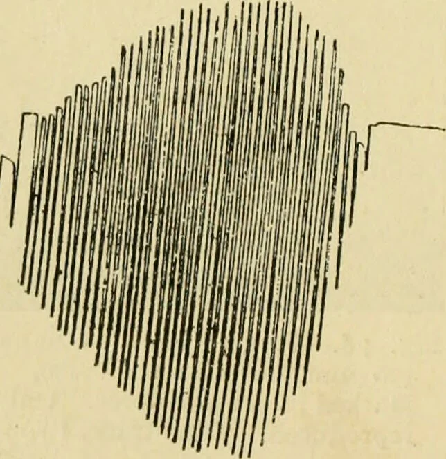 An illustration from A manual of physiology : with practical exercises / by G. N. Stewart ; with coloured plate and 467 other illustrations., 1914, leaf 190