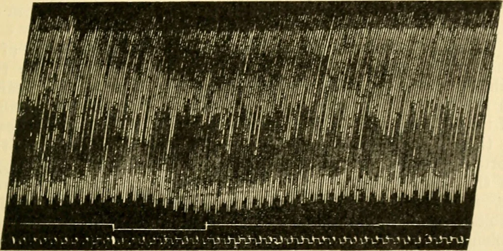An illustration from A manual of physiology : with practical exercises / by G. N. Stewart ; with coloured plate and 467 other illustrations., 1914, leaf 193