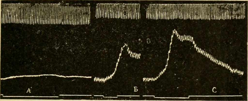 An illustration from A manual of physiology : with practical exercises / by G. N. Stewart ; with coloured plate and 467 other illustrations., 1914, leaf 209