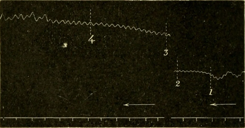 An illustration from A manual of physiology : with practical exercises / by G. N. Stewart ; with coloured plate and 467 other illustrations., 1914, leaf 210