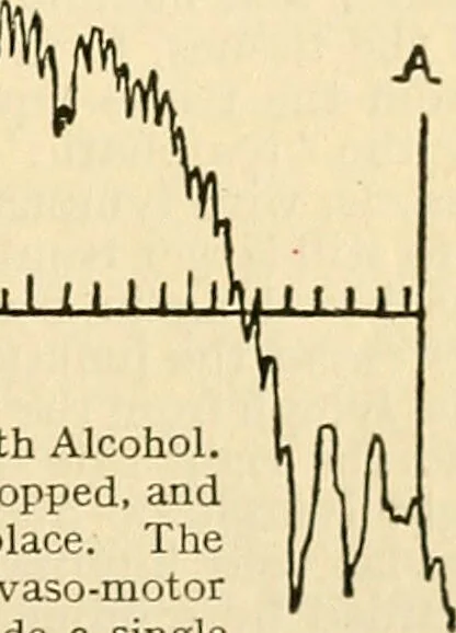 An illustration from A manual of physiology : with practical exercises / by G. N. Stewart ; with coloured plate and 467 other illustrations., 1914, leaf 213