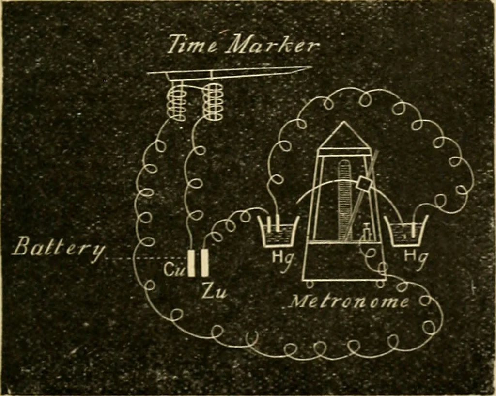 An illustration from A manual of physiology : with practical exercises / by G. N. Stewart ; with coloured plate and 467 other illustrations., 1914, leaf 217