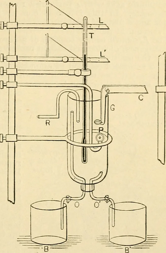 An illustration from A manual of physiology : with practical exercises / by G. N. Stewart ; with coloured plate and 467 other illustrations., 1914, leaf 219