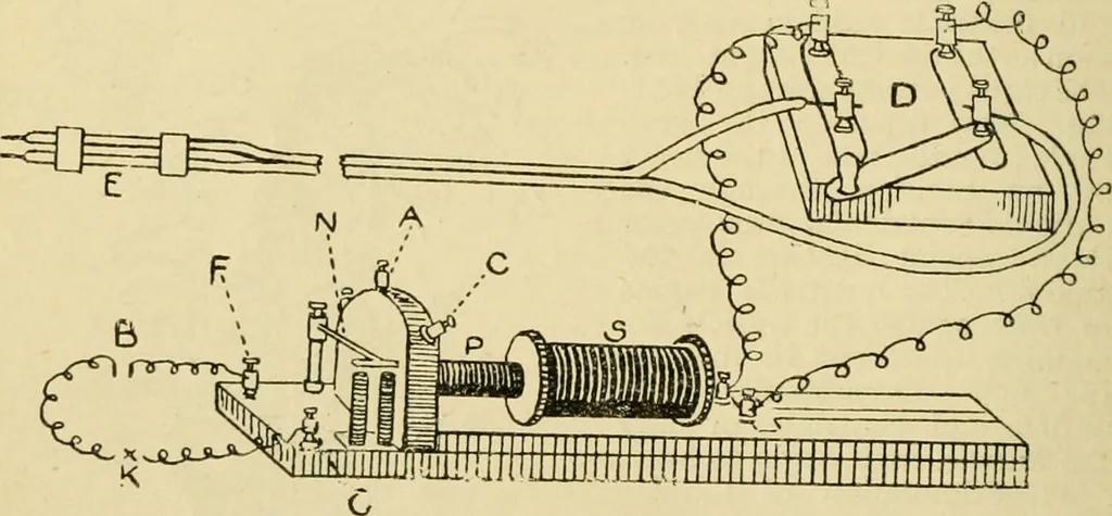 An illustration from A manual of physiology : with practical exercises / by G. N. Stewart ; with coloured plate and 467 other illustrations., 1914, leaf 222