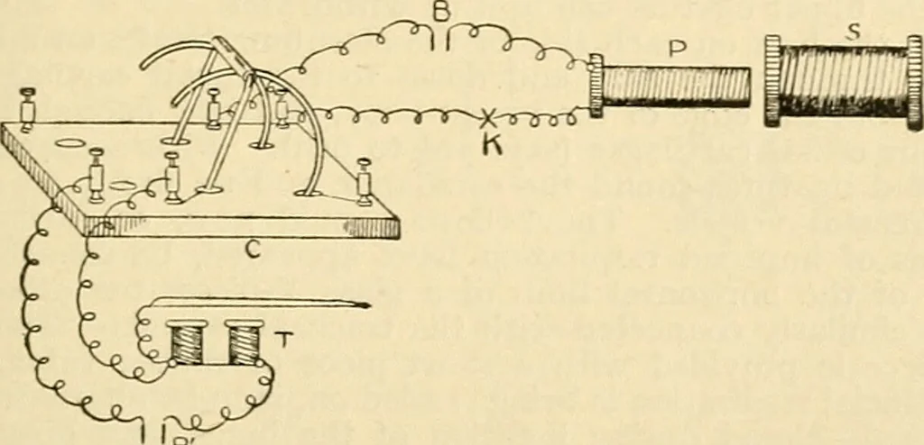 An illustration from A manual of physiology : with practical exercises / by G. N. Stewart ; with coloured plate and 467 other illustrations., 1914, leaf 223