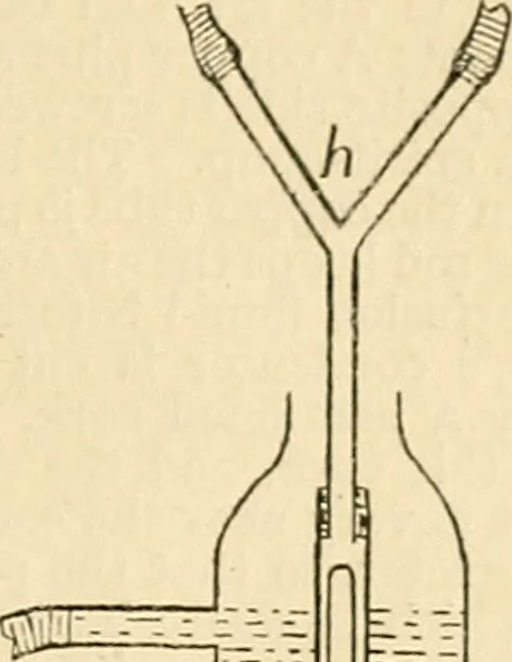 An illustration from A manual of physiology : with practical exercises / by G. N. Stewart ; with coloured plate and 467 other illustrations., 1914, leaf 227
