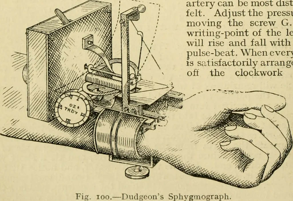 An illustration from A manual of physiology : with practical exercises / by G. N. Stewart ; with coloured plate and 467 other illustrations., 1914, leaf 230