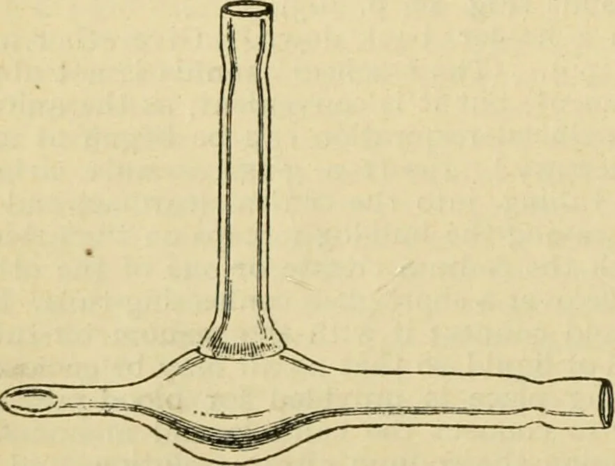 An illustration from A manual of physiology : with practical exercises / by G. N. Stewart ; with coloured plate and 467 other illustrations., 1914, leaf 234