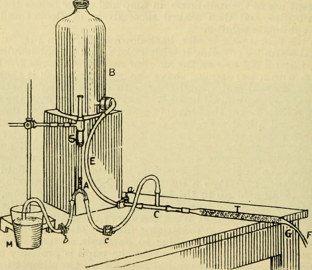 An illustration from A manual of physiology : with practical exercises / by G. N. Stewart ; with coloured plate and 467 other illustrations., 1914, leaf 240