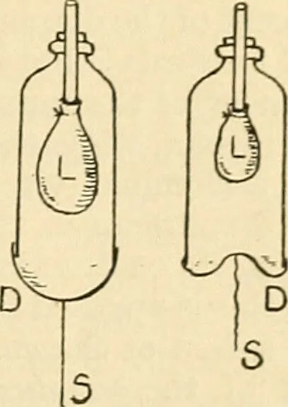 An illustration from A manual of physiology : with practical exercises / by G. N. Stewart ; with coloured plate and 467 other illustrations., 1914, leaf 249