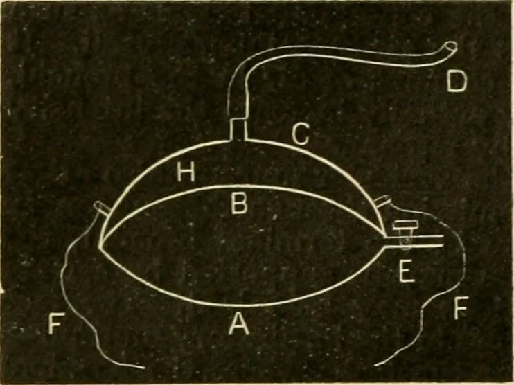 An illustration from A manual of physiology : with practical exercises / by G. N. Stewart ; with coloured plate and 467 other illustrations., 1914, leaf 256