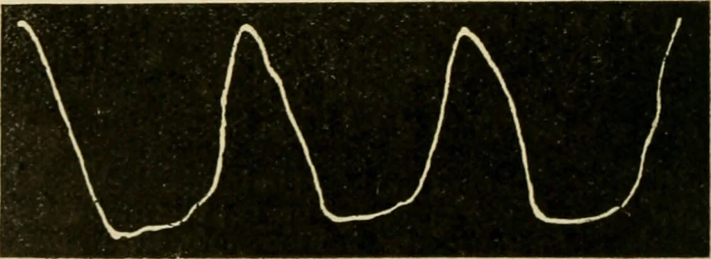 An illustration from A manual of physiology : with practical exercises / by G. N. Stewart ; with coloured plate and 467 other illustrations., 1914, leaf 256
