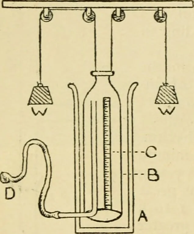 An illustration from A manual of physiology : with practical exercises / by G. N. Stewart ; with coloured plate and 467 other illustrations., 1914, leaf 258