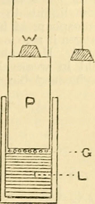 An illustration from A manual of physiology : with practical exercises / by G. N. Stewart ; with coloured plate and 467 other illustrations., 1914, leaf 271