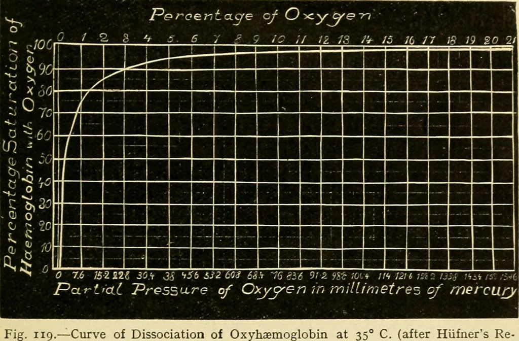 An illustration from A manual of physiology : with practical exercises / by G. N. Stewart ; with coloured plate and 467 other illustrations., 1914, leaf 275