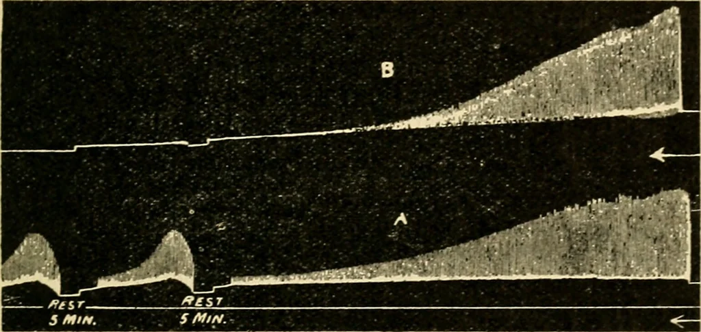 An illustration from A manual of physiology : with practical exercises / by G. N. Stewart ; with coloured plate and 467 other illustrations., 1914, leaf 289