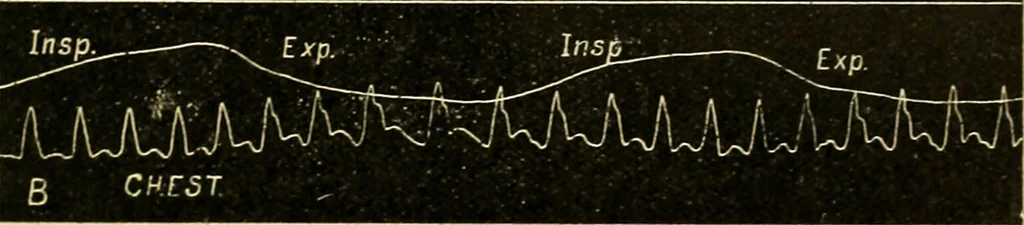 An illustration from A manual of physiology : with practical exercises / by G. N. Stewart ; with coloured plate and 467 other illustrations., 1914, leaf 307