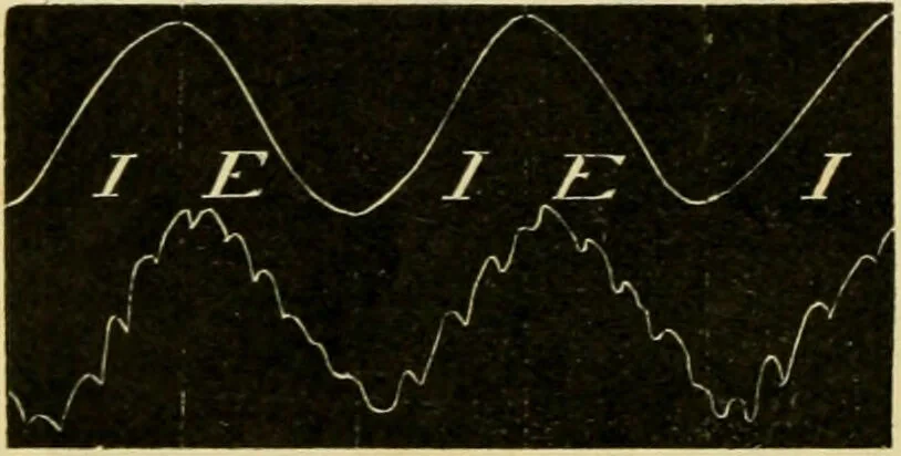 An illustration from A manual of physiology : with practical exercises / by G. N. Stewart ; with coloured plate and 467 other illustrations., 1914, leaf 308