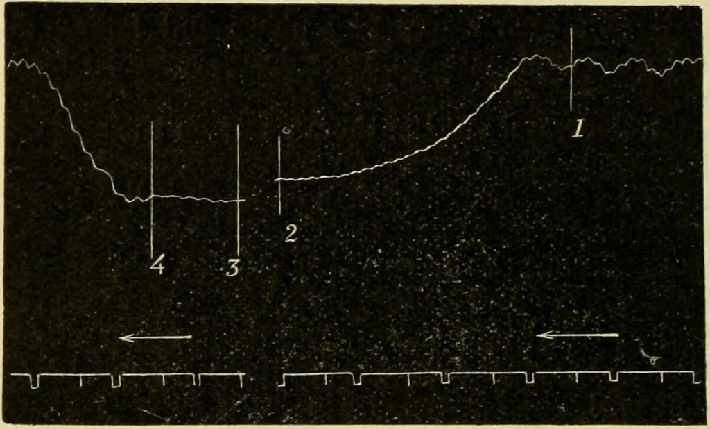 An illustration from A manual of physiology : with practical exercises / by G. N. Stewart ; with coloured plate and 467 other illustrations., 1914, leaf 310