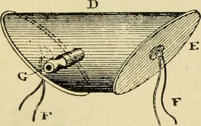 An illustration from A manual of physiology : with practical exercises / by G. N. Stewart ; with coloured plate and 467 other illustrations., 1914, leaf 320