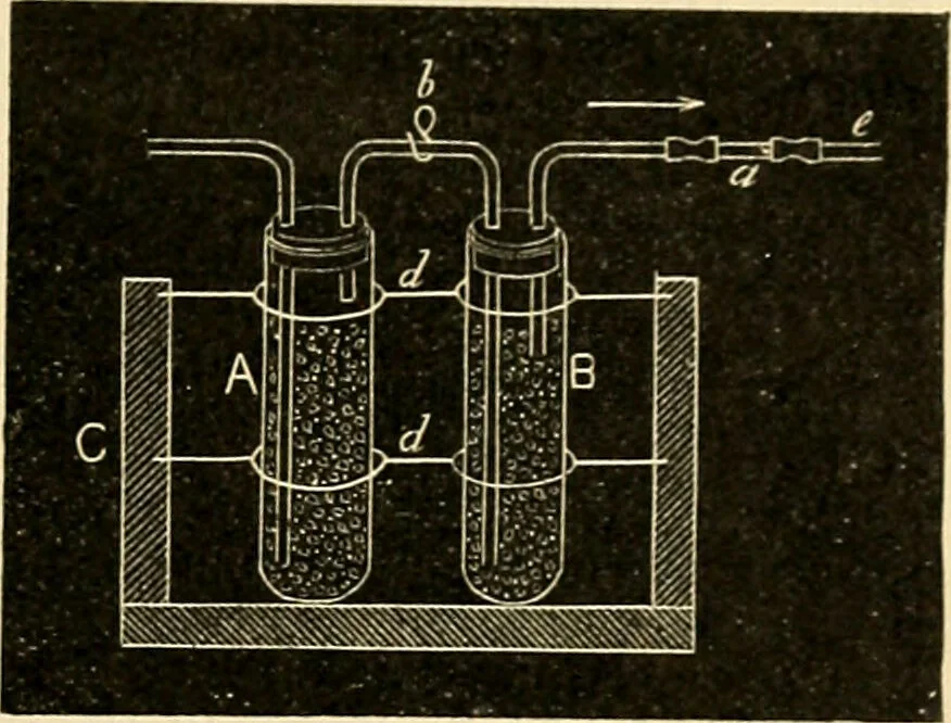 An illustration from A manual of physiology : with practical exercises / by G. N. Stewart ; with coloured plate and 467 other illustrations., 1914, leaf 323