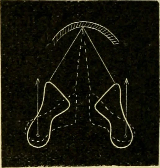 An illustration from A manual of physiology : with practical exercises / by G. N. Stewart ; with coloured plate and 467 other illustrations., 1914, leaf 326