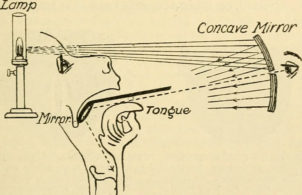 An illustration from A manual of physiology : with practical exercises / by G. N. Stewart ; with coloured plate and 467 other illustrations., 1914, leaf 329