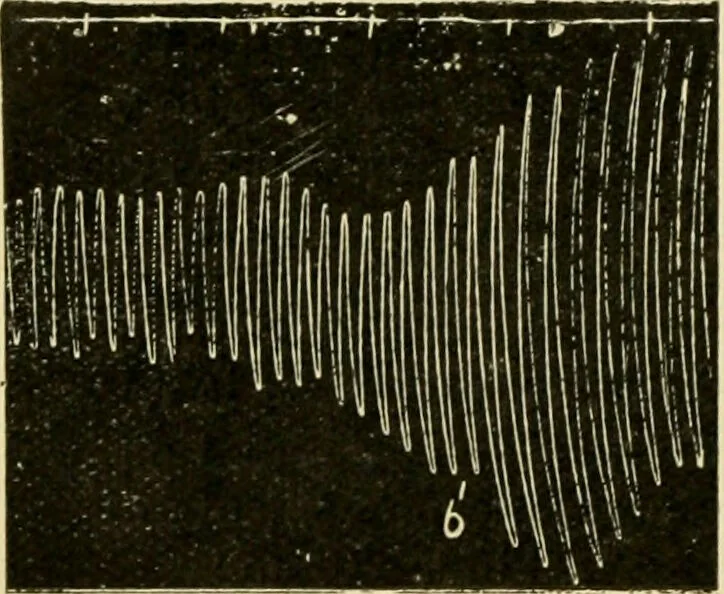 An illustration from A manual of physiology : with practical exercises / by G. N. Stewart ; with coloured plate and 467 other illustrations., 1914, leaf 348