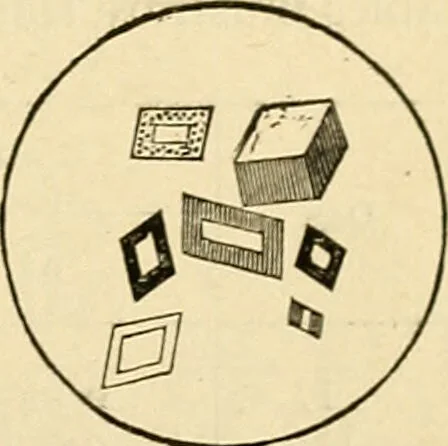 An illustration from A manual of physiology : with practical exercises / by G. N. Stewart ; with coloured plate and 467 other illustrations., 1914, leaf 403