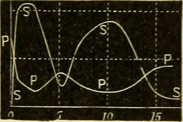 An illustration from A manual of physiology : with practical exercises / by G. N. Stewart ; with coloured plate and 467 other illustrations., 1914, leaf 427