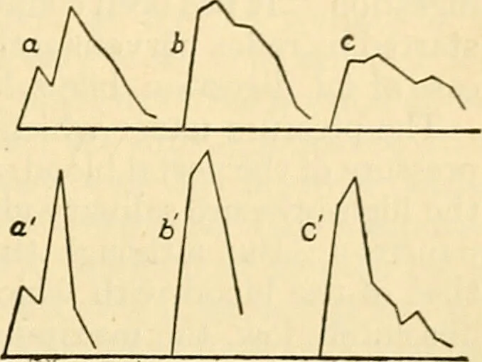 An illustration from A manual of physiology : with practical exercises / by G. N. Stewart ; with coloured plate and 467 other illustrations., 1914, leaf 431